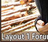 Layout 1 Forum 16