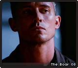 The Boar 08