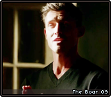 The Boar 09