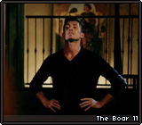 The Boar 11