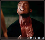 The Boar 12